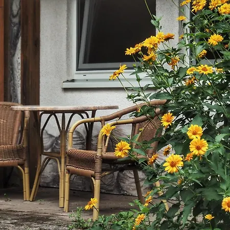 Romantischer Seegasthof & Altes Zollhaus Hotel 3*