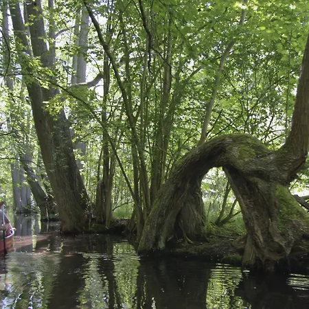 Hotel Romantischer Seegasthof & Altes Zollhaus Feldberger Seenlandschaft