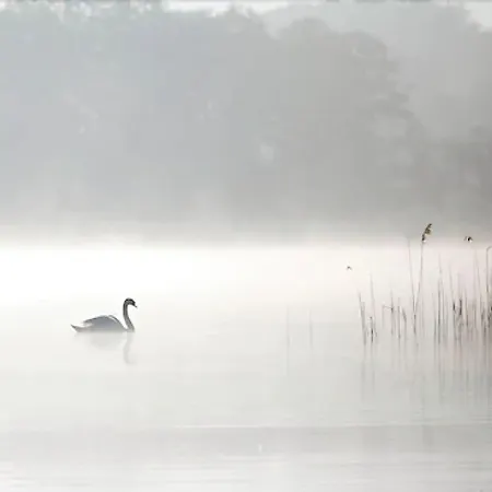 Romantischer Seegasthof & Altes Zollhaus 3* Feldberger Seenlandschaft