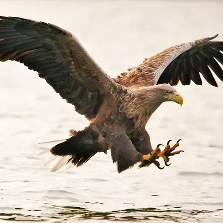 Hotel Romantischer Seegasthof & Altes Zollhaus 3*